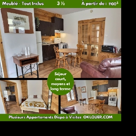 APPARTEMENT TOUT INCLUS-MEUBLÉ 1 CHAMBRE 3 1/2 A SAINT-ROCH Image# 1