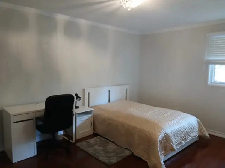 Great room Burnhamthorpe/Tomken avalable immediately