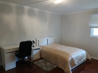 Great room Burnhamthorpe/Tomken avalable immediately