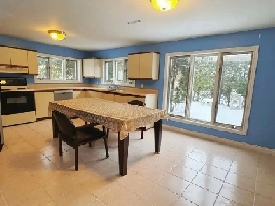 Walk Out Basement Larger Living room, One one room for Rent Image# 2