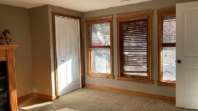 Bright and clean bed room in Walk-out basement for rent Image# 1