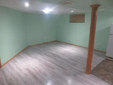 One bed room basement apartment for rent in South Edmonton Image# 1