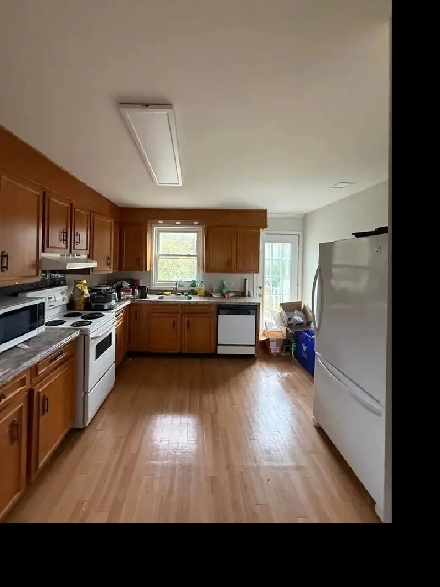 Furnished Rooms for Rent Image# 6