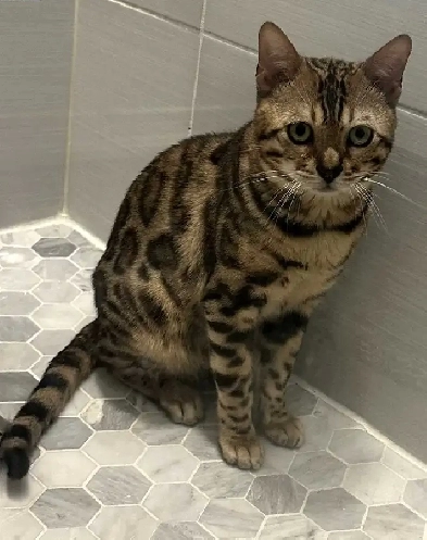 room for rent Image# 1