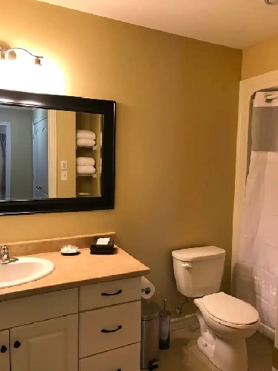 Quiet  two bedroom unit with washer & dryer for April 1st Image# 2