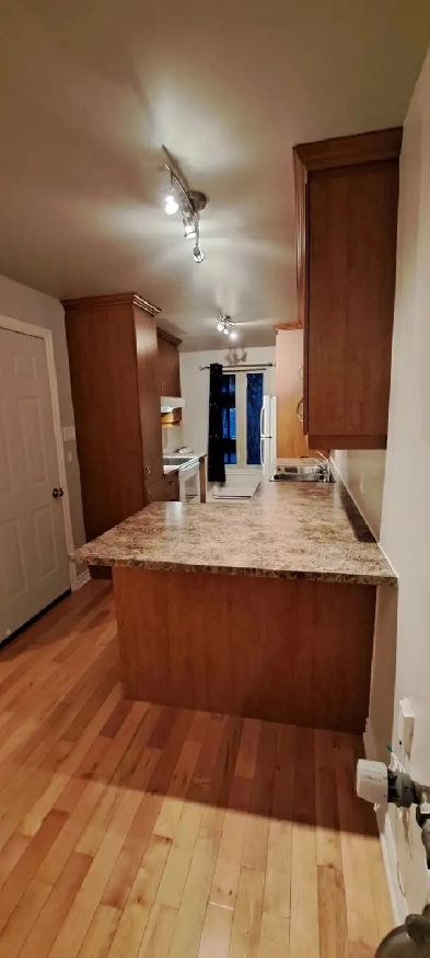 Lumineux & Calme 3 ½ Plateau – Libre immédiatement Image# 1