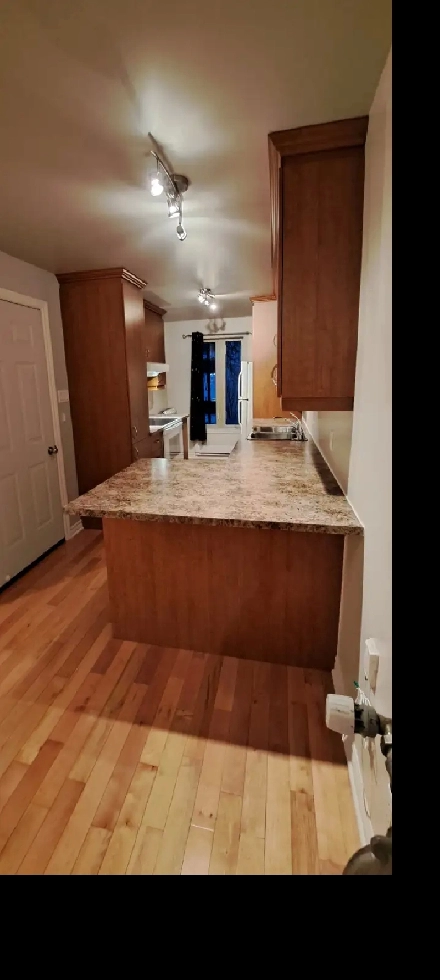 Plateau – Lumineux 3 1/2 – Libre immédiatement – Calme et propre Image# 1