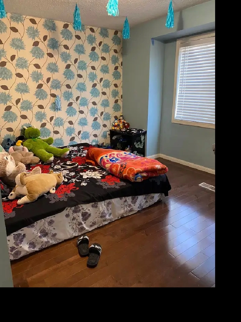 1 room for rent in Brampton semi detached house