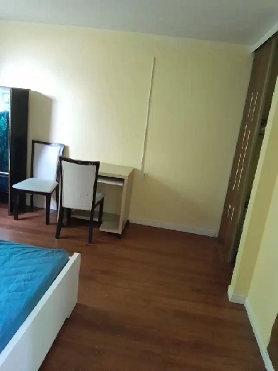 private furnished upstairs room available Scarborough 780 Image# 1