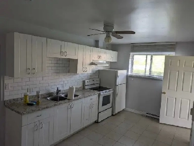 One Bedroom   Den lower level apartment Image# 1