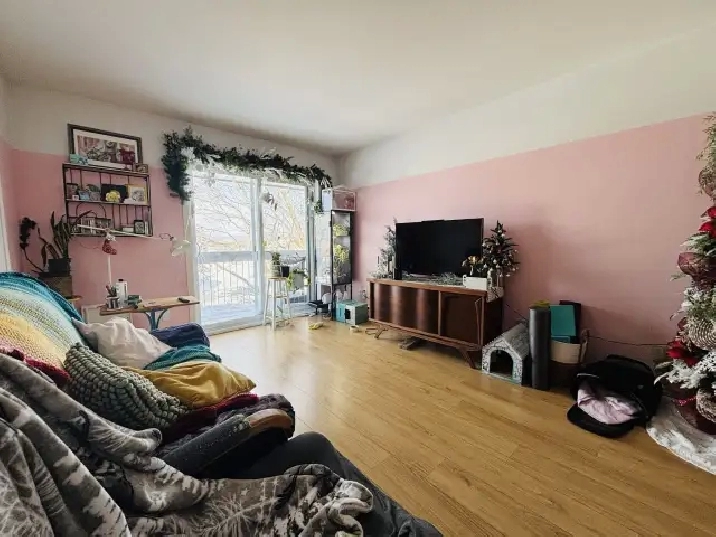 Appartement 4 ½ à louer Lévis juillet 2026