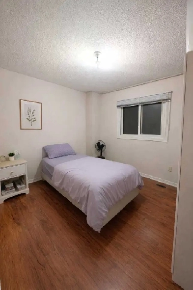 Room for Rent Image# 1