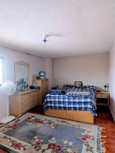 Private Room for Rent Image# 1