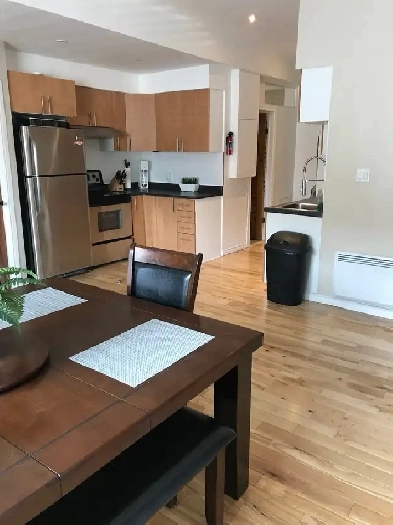 Grand lumineux 41/2 face au parc Beaubien à Rosemont Image# 1