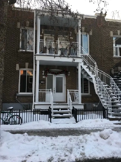 logement à louer Image# 1