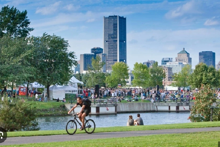 1 BED 1 BATH CONDO - GRIFFINTOWN, MONTREAL