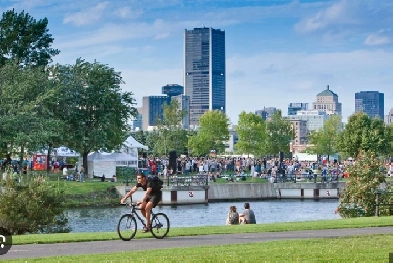 1 BED 1 BATH CONDO - GRIFFINTOWN, MONTREAL Image# 1