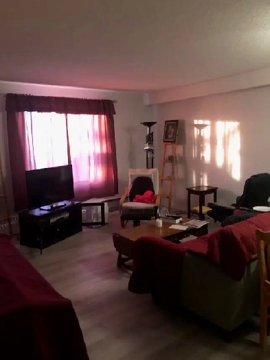 Need Cash - Large 3 Bdrm 3rd flr Corner Unit Condo Apt. Image# 1