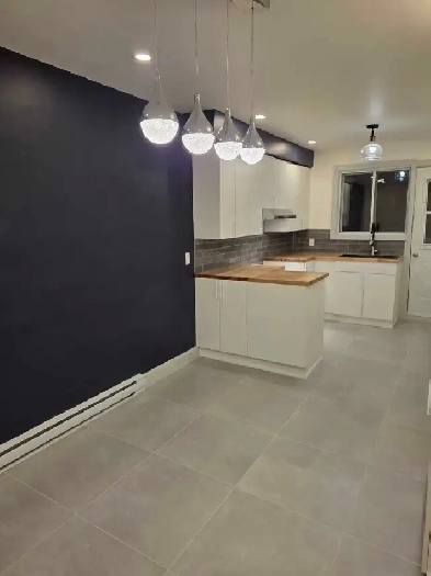 5 1/2 bien eclaire metro fabre pres de tous les services Image# 1