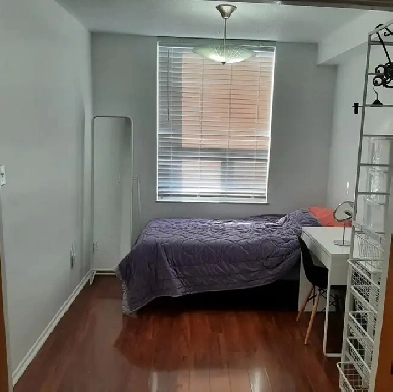 (8th/March~, 25/Day)Don Mills&Eglington(Short term) Image# 1