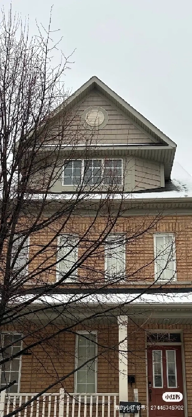 Best Deal! Only $650 One  bedroom Unit  Rent Image# 1