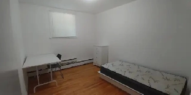 Colocation voisine Université et des Cégeps Garneau Ste-Foy Image# 1