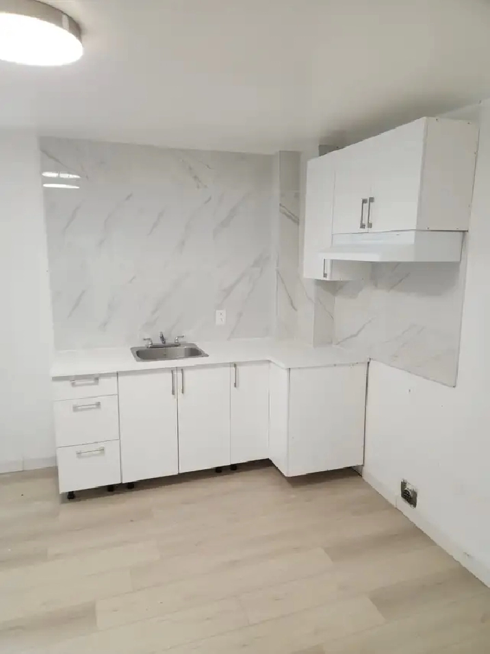 1 BDRM verdun - renovated close to Metro