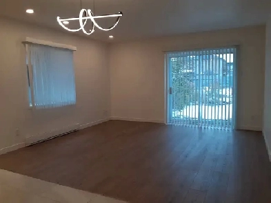 Appartement 3 1/2 entièrement rénové à louer à Saint-Rémi Image# 1