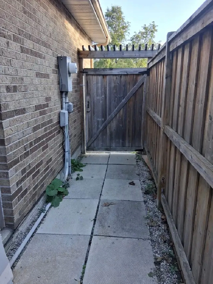 2 BDR Basement For Rent