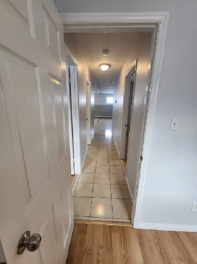 Hanmer 3 Bedroom Apartment Available Immediately