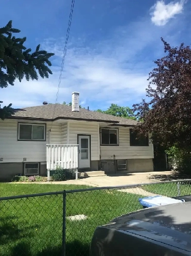 Large 1 Bedroom Basement Suite Image# 2