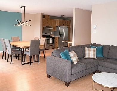 ✨ Magnifique 4 ½ Confort, tranquillité et lumière ! Image# 1