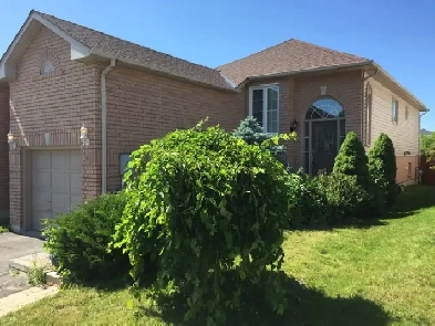 Freshly painted unit for rent! Image# 1