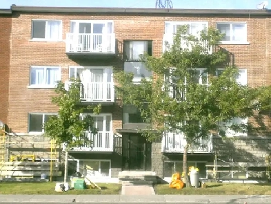 Location 51/2 sur Pie-IX et Jarry a louer Image# 1