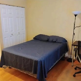 MAY-Room w/2 pc Bath-10min/Walk Algonq-30min/Carleton-VIDEO Image# 1