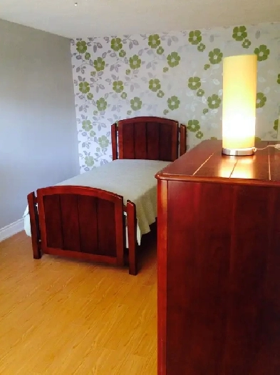 Large Furnished 2 Rooms Available Immediately – UTM Image# 1