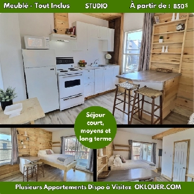 STUDIO TOUT INCLUS-MEUBLÉ A LIMOILOU Image# 1