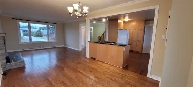 Beautiful 3 bed 1 bath house with yard