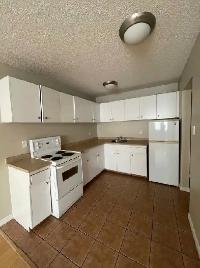 FOR RENT 1 & 2 Bd Apartment 11916 105 St Edmonton Image# 3