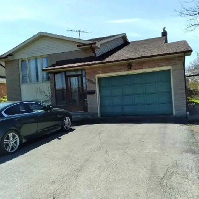 Room for rent Image# 1