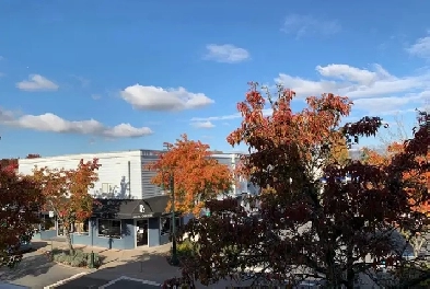 Spacious 2 Bedroom 2 Bathroom Apartment for Rent! Image# 1