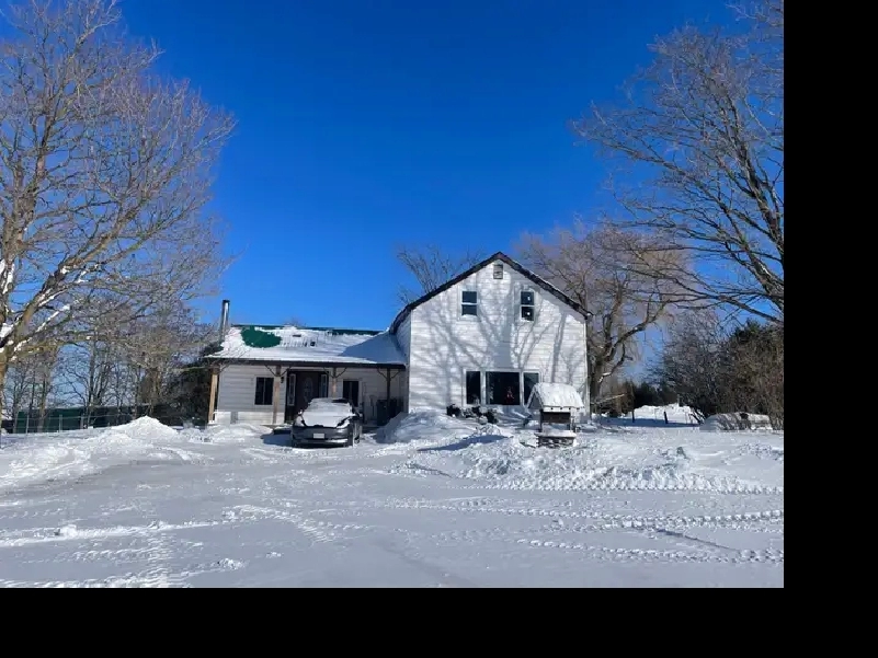 ROOM AVAILABLE ON HORSE HOBBY FARM