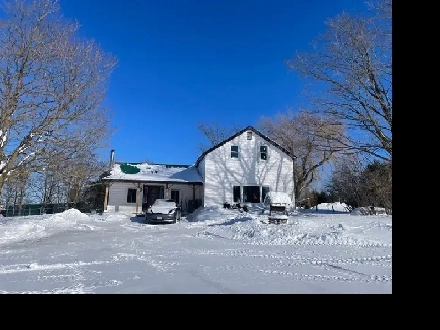 ROOM AVAILABLE ON HORSE HOBBY FARM