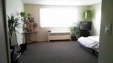 Bachelor Suite - St. James - $754.00 - March 7, 2026 Image# 1