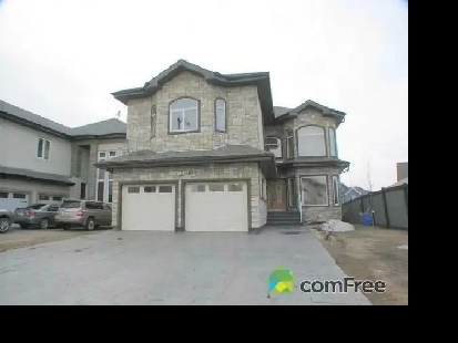 Summerside - Walkout 1 Bdrm/1 Bath Basement Suite for Rent Image# 1