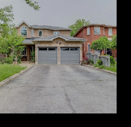 Basement Available for Rent Image# 1