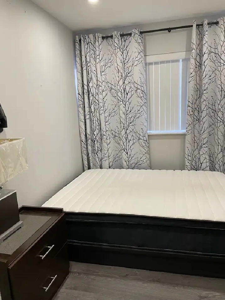 beautiful furnished rooms for rent in Mississauga