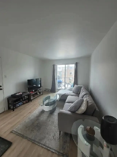 condo à louer Image# 1