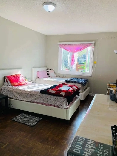 Room for Rent Image# 1