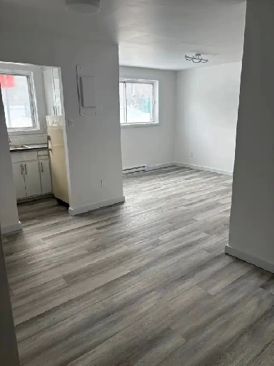 Laval - Très beau 3 1/2 Metro Concorde  - Libre Image# 1